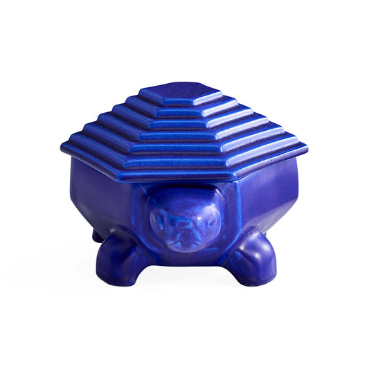 Boîte à tortues en cobalt